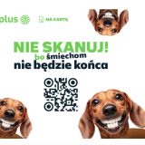 kapibary i jamniki - reklama Plusa