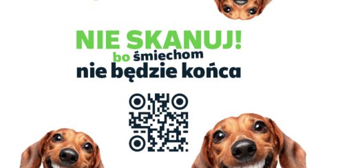 kapibary i jamniki - reklama Plusa