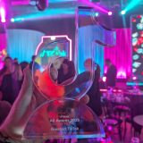 plush wygrywa tiktok ad-awards ce 2025